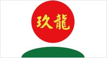 玖龍纸业